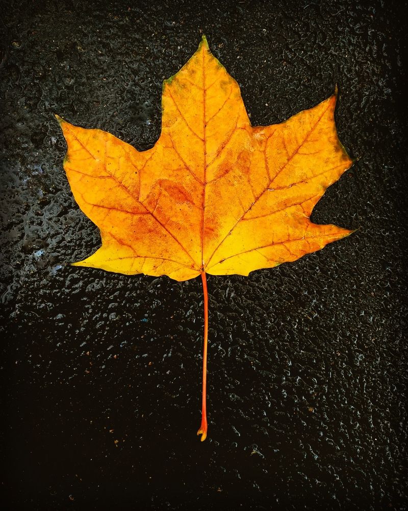 Photograph by Владислав Моисеев