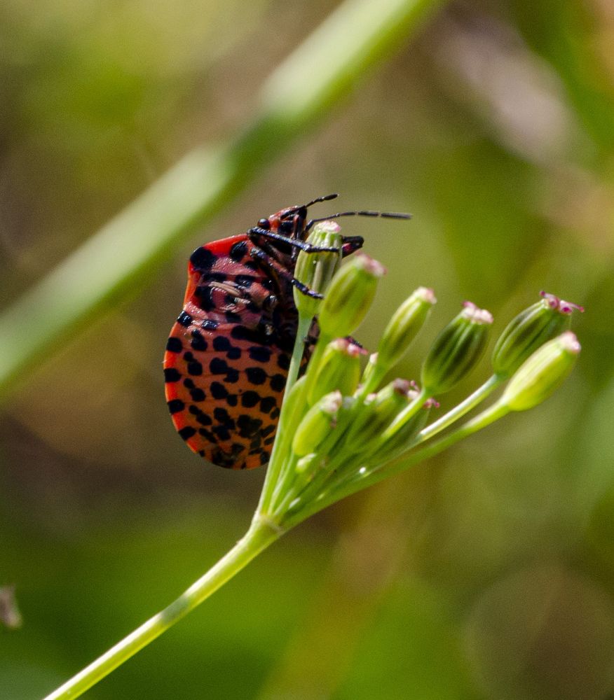 Photograph by Любовь Бусова