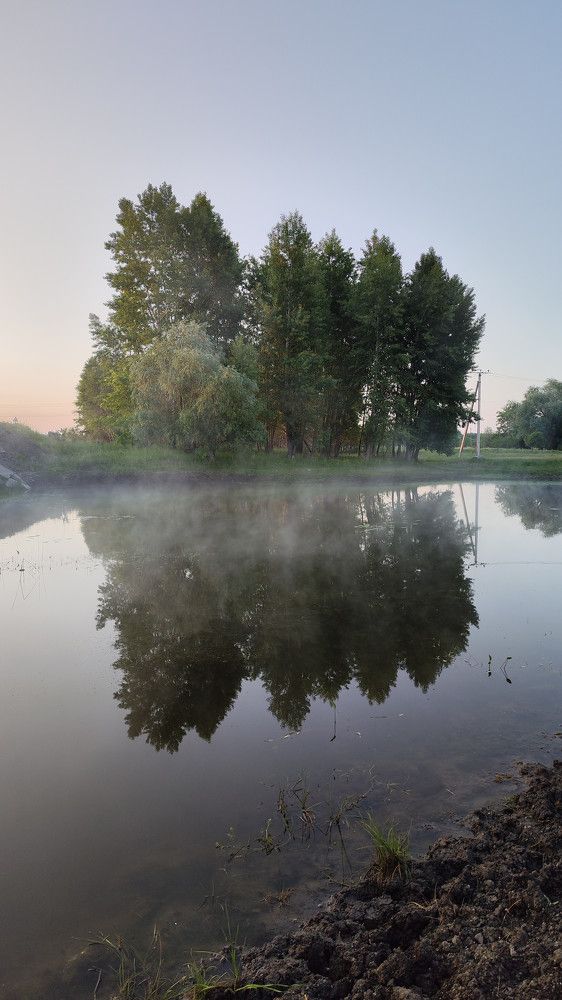 Photograph by Лиза