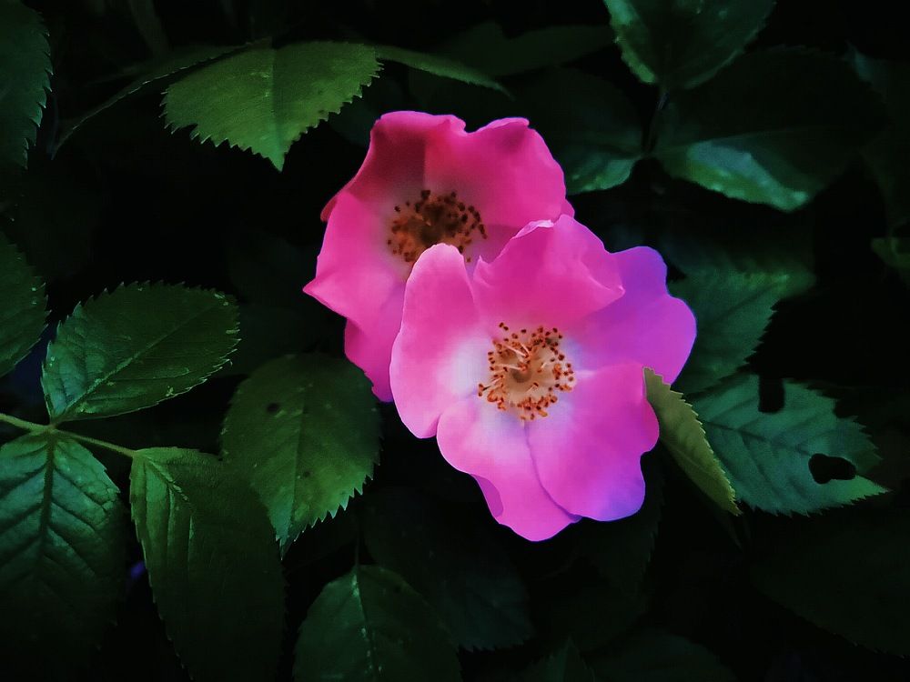 Photograph by Ирина Скворцова