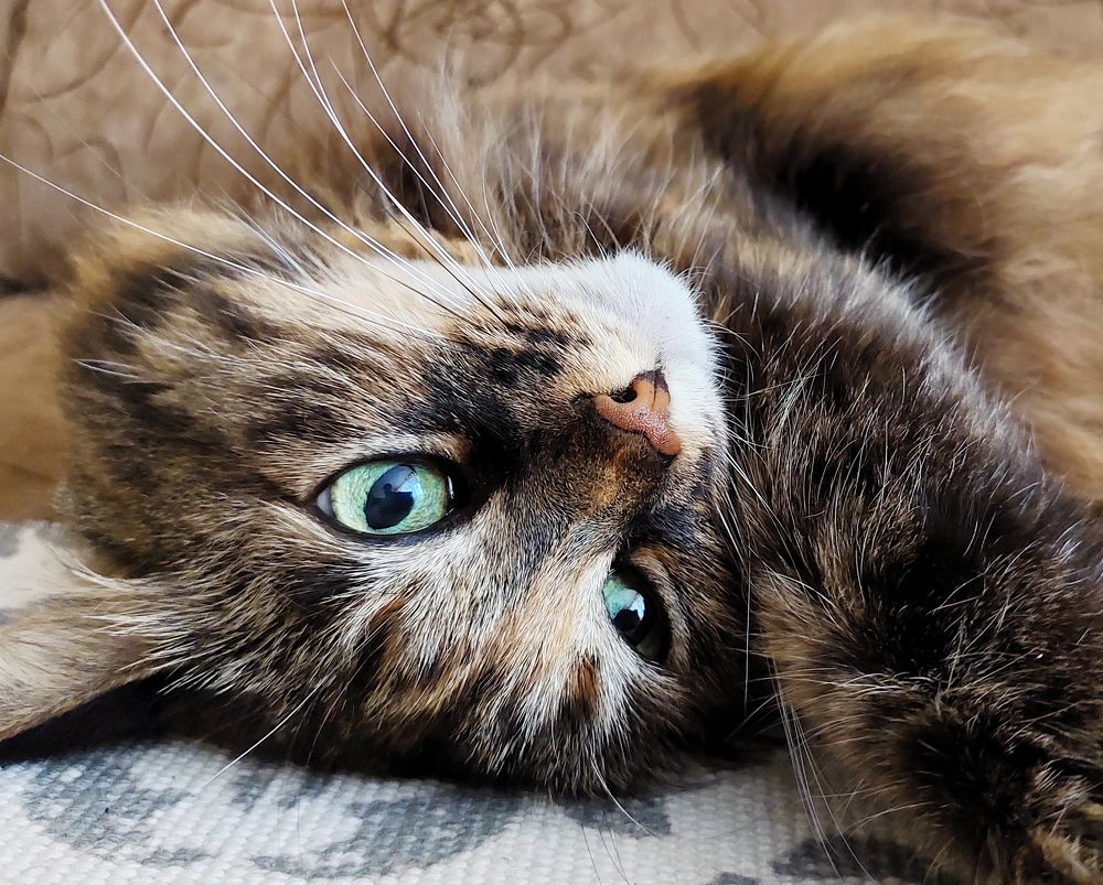 Photograph by Юлия