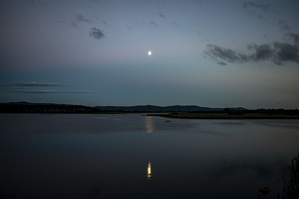 Photograph by 
