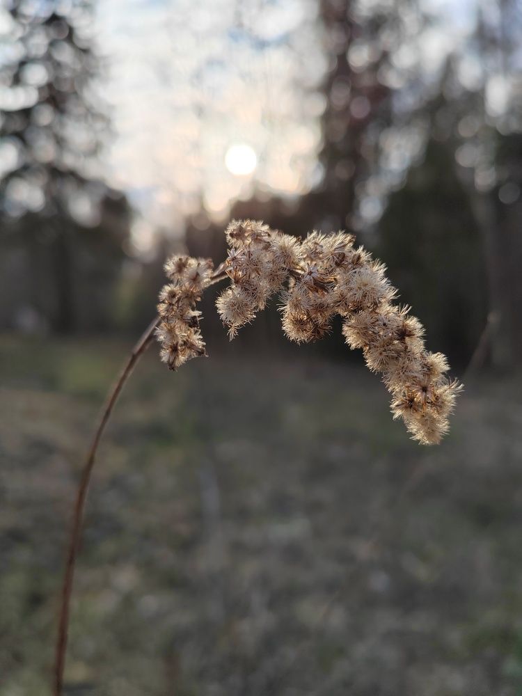 Photograph by Яна Никулина