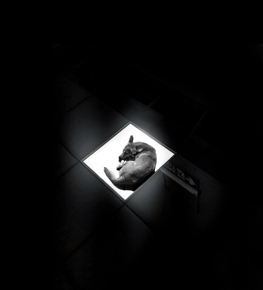 Photograph by Shaffi Muhammed