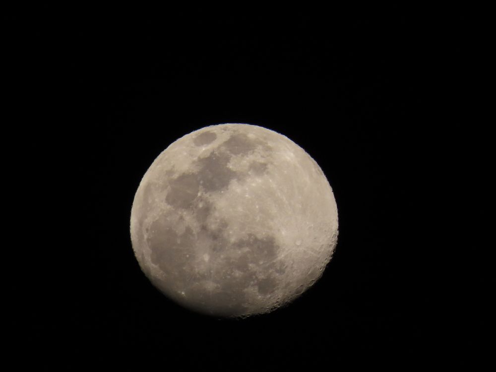 Photograph by mahboube moradalizade