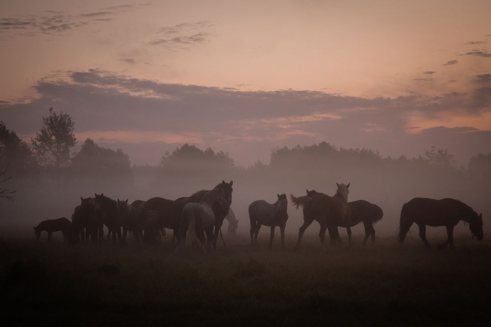 Photograph by Ольга Сергеенко
