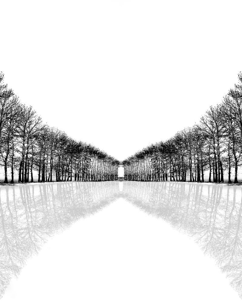 Фотография автора Zahra Seyedmorti