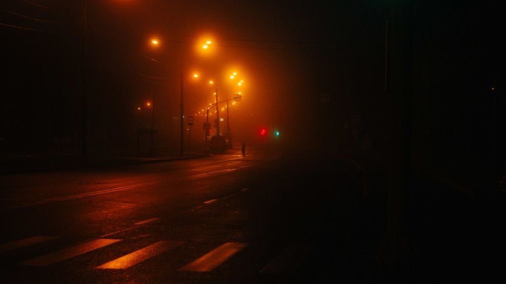 Photograph by Анастасия Костылева