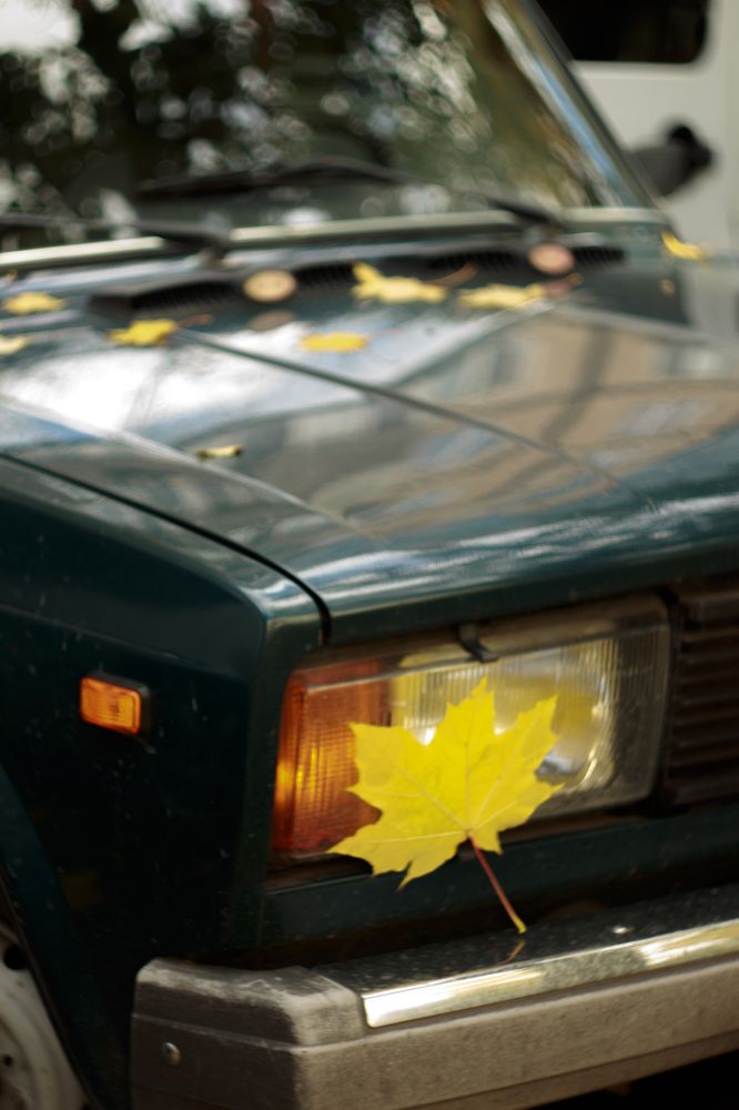 Photograph by Нелли Золотая