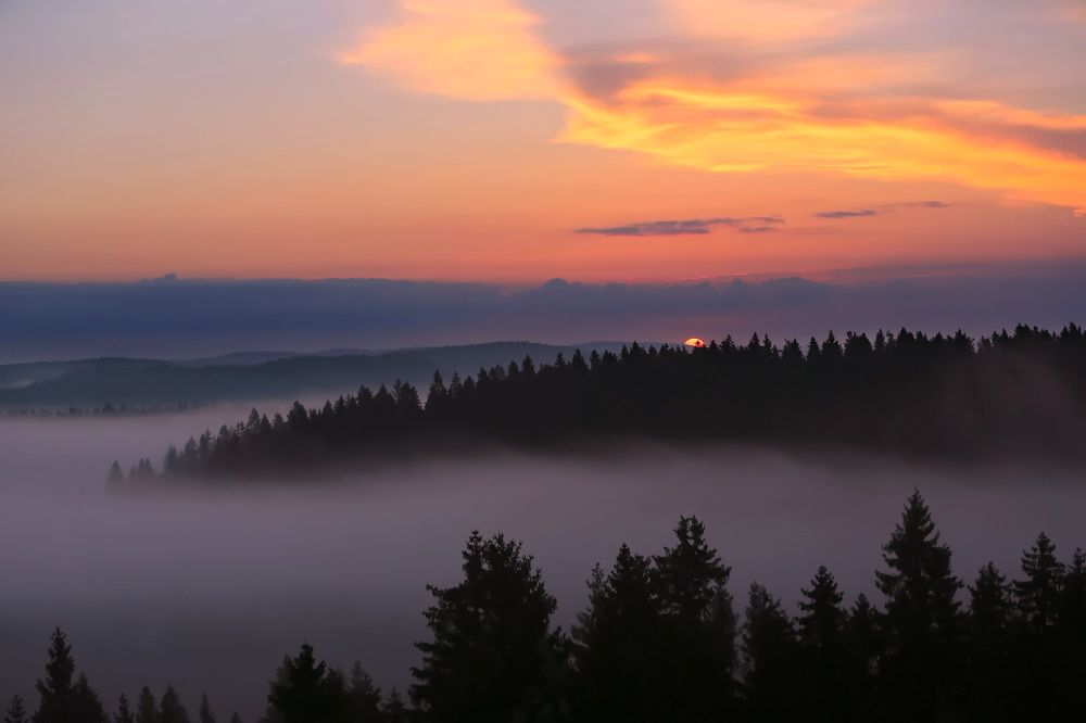 Photograph by Дмитрий Петухов