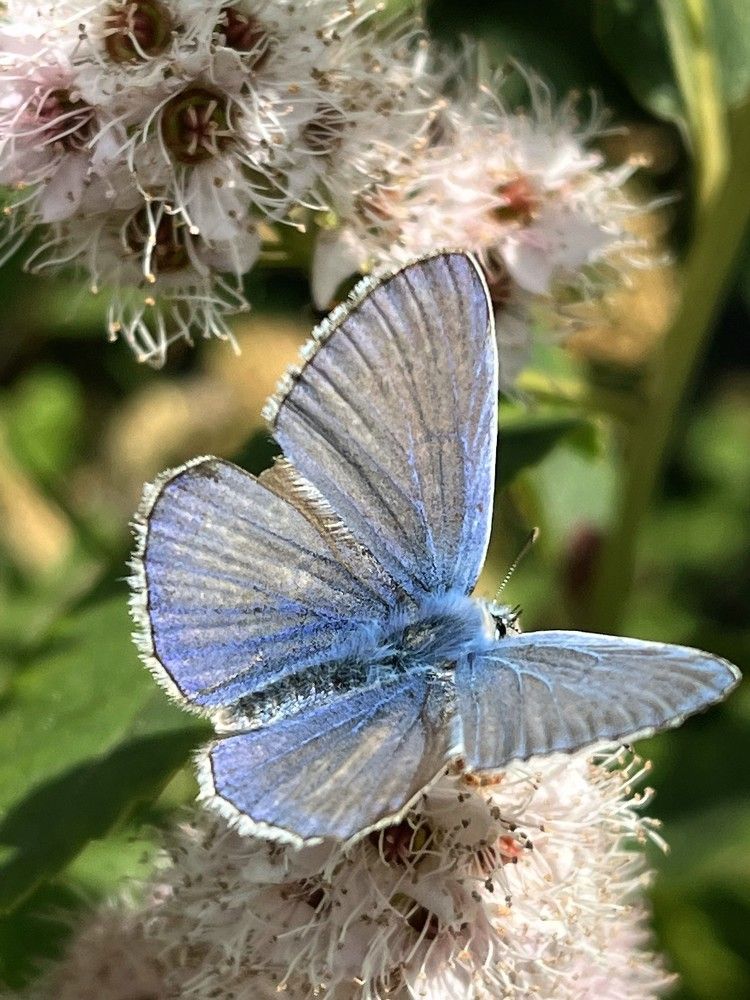 Photograph by Елена Карпухно