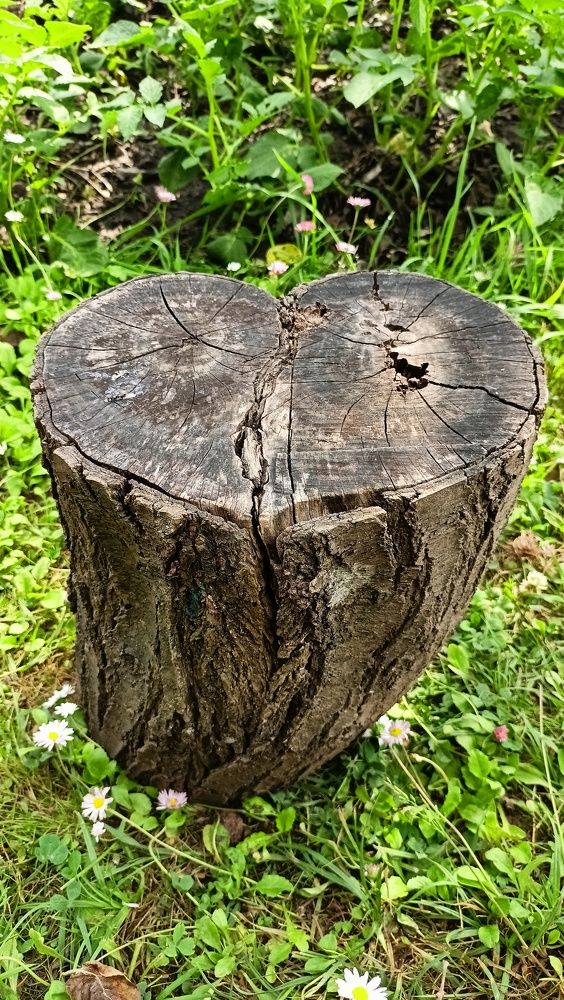 Фотография автора Марина Луценко