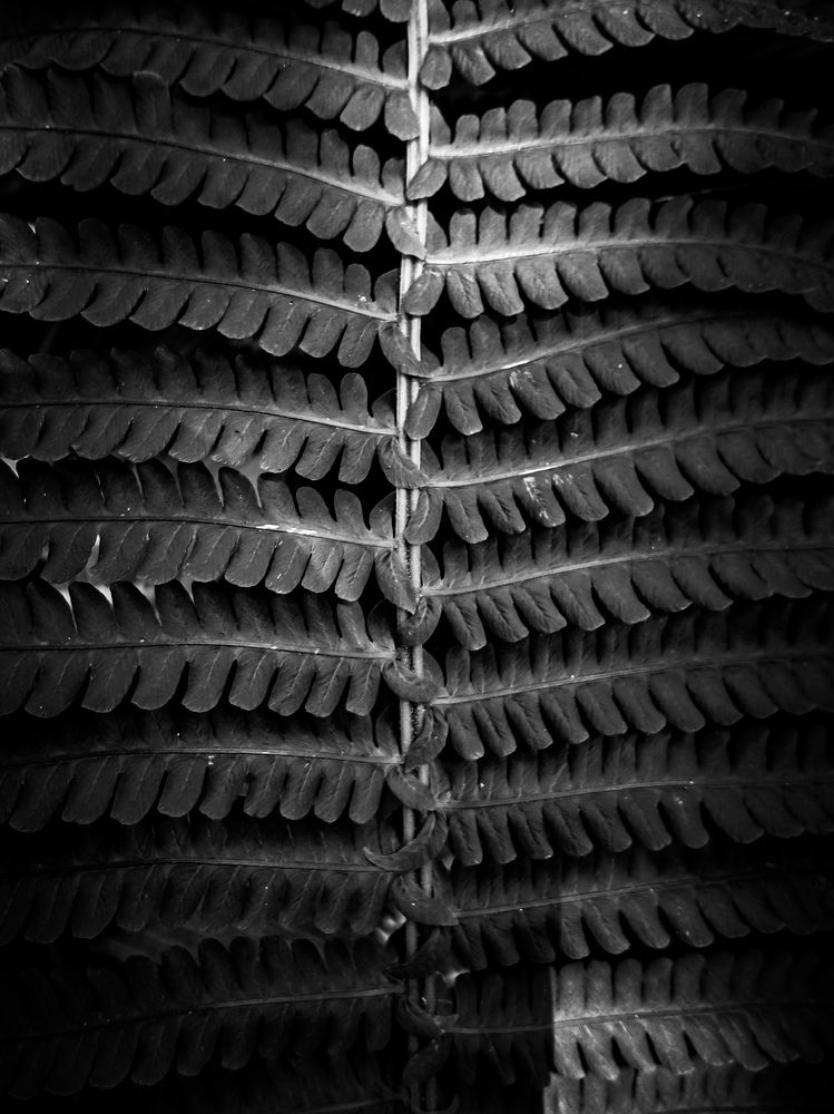 Photograph by Артур Арутюнов