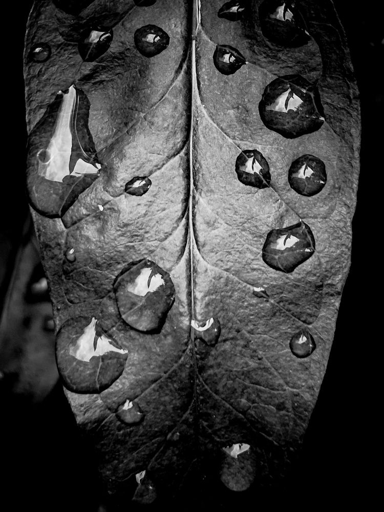 Photograph by Артур Арутюнов