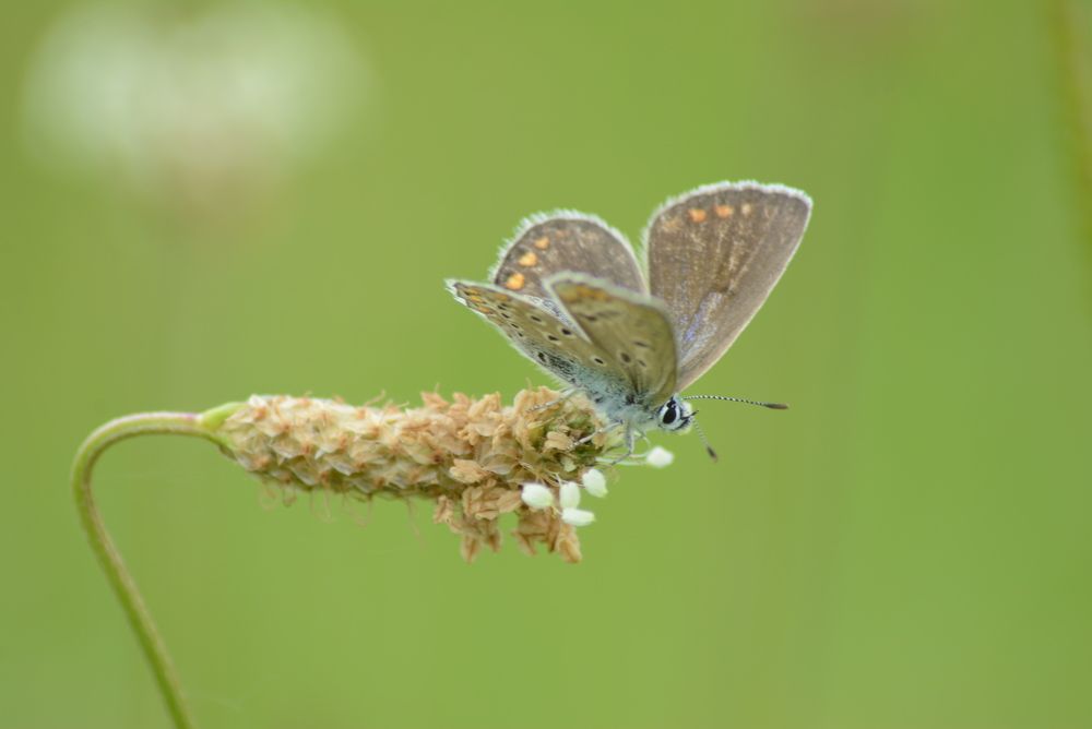 Photograph by Gülşen  Mutlu