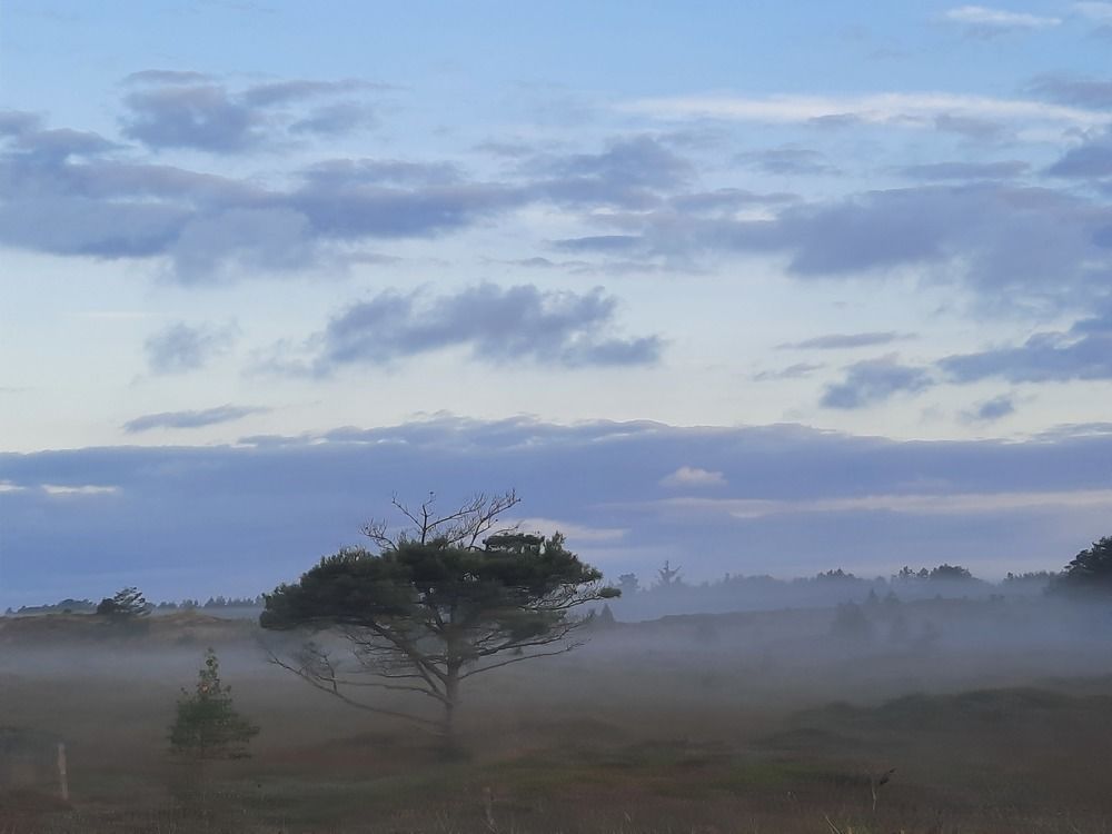 Photograph by Alexandra Fahn