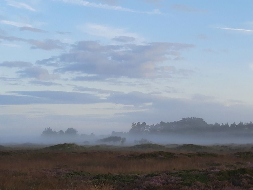 Photograph by Alexandra Fahn