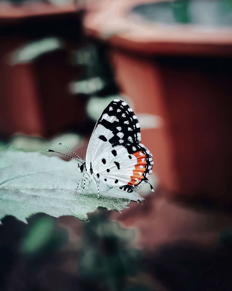 Photograph by Aaron R S