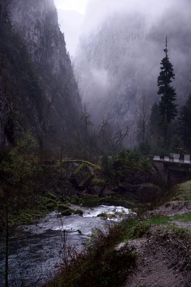 Photograph by Дмитрий Задунайский