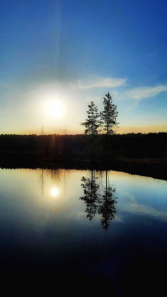 Гармония в природе