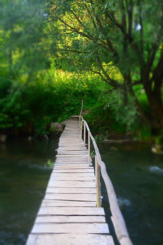 Photograph by Ксения Лебедева