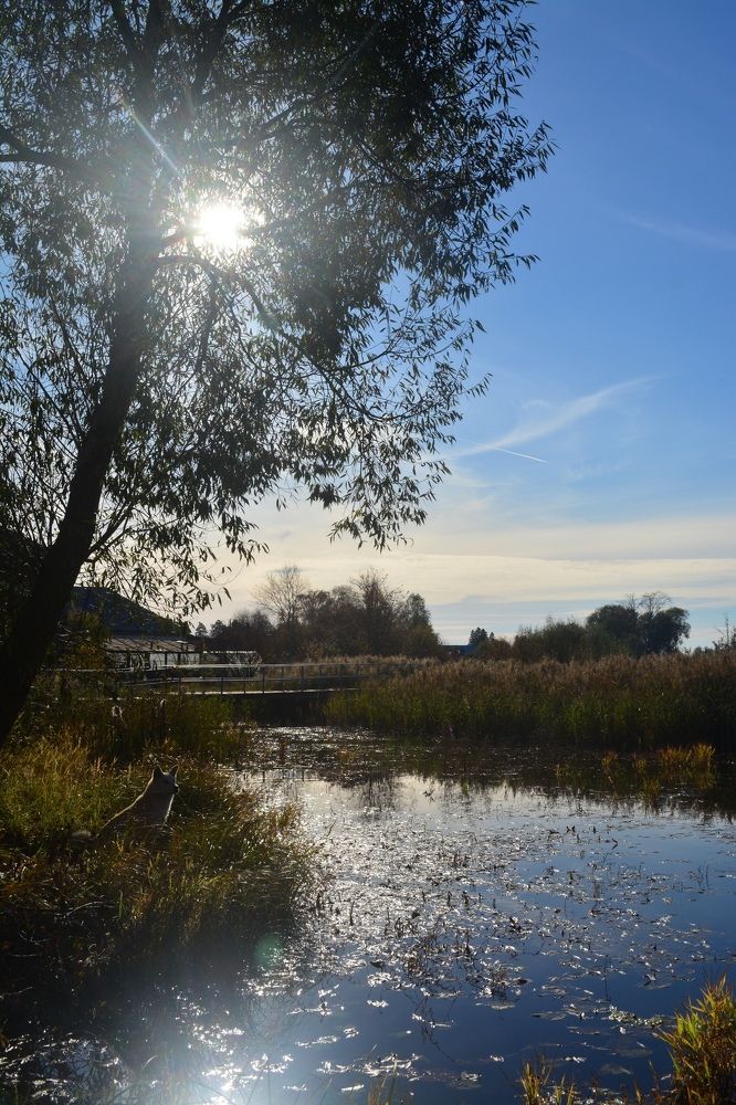 Photograph by Ксения Лебедева