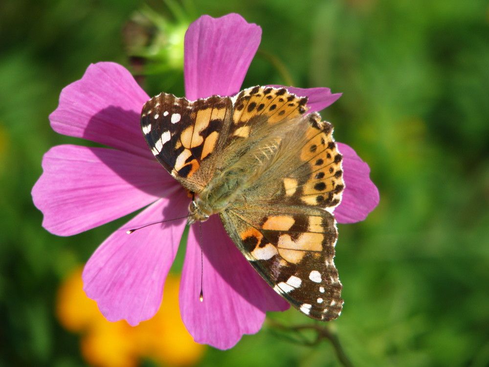 Photograph by Mahmoud Ahmadi