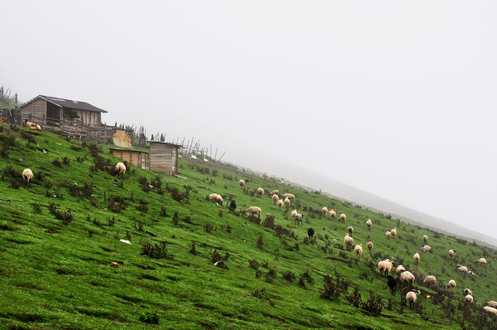 Photograph by Mahmoud Ahmadi