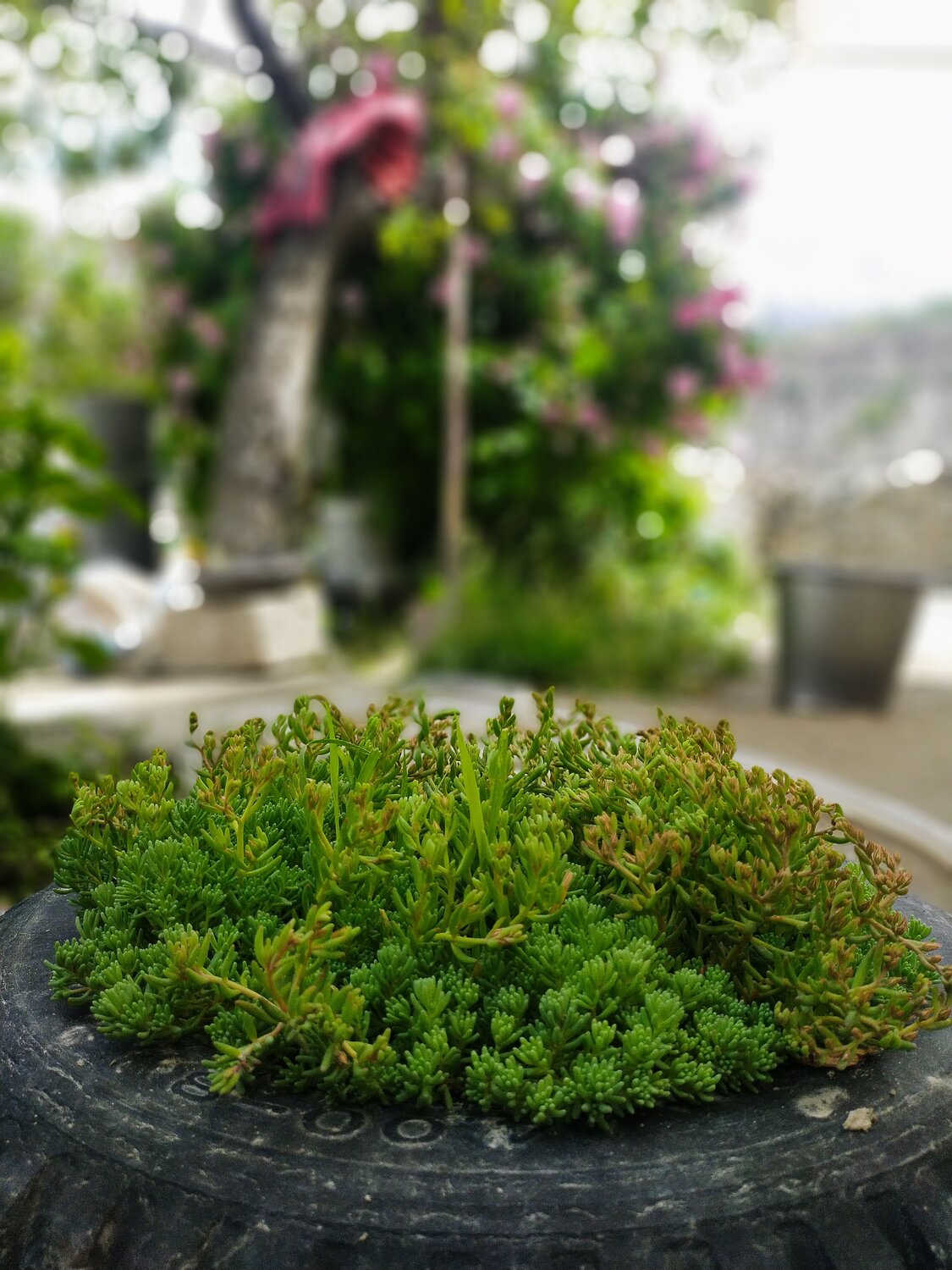 Photo #9226613
