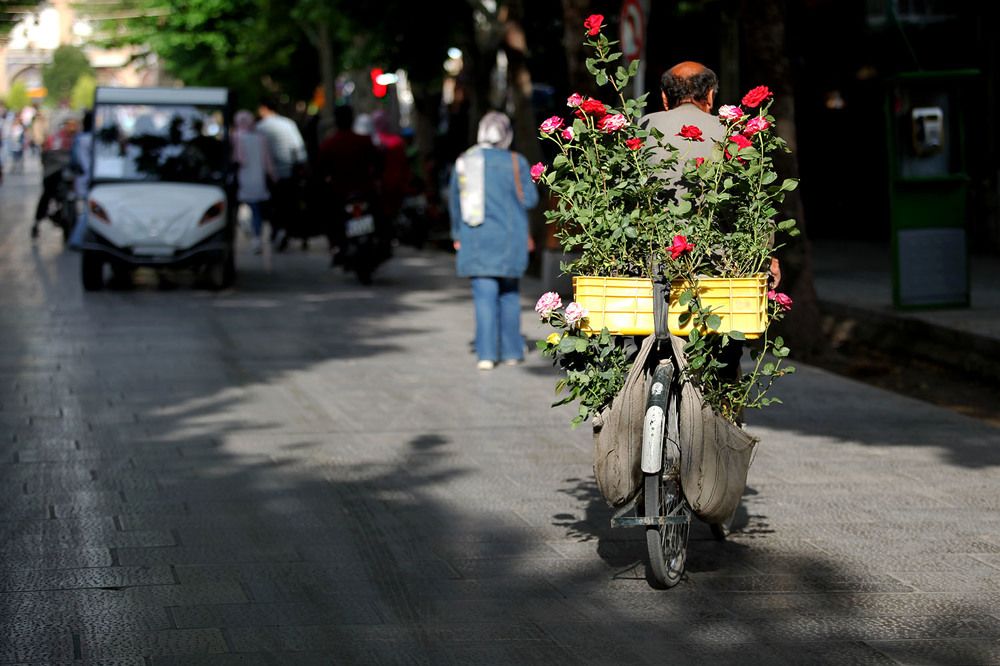 Photograph by mehdi karimi souderjani