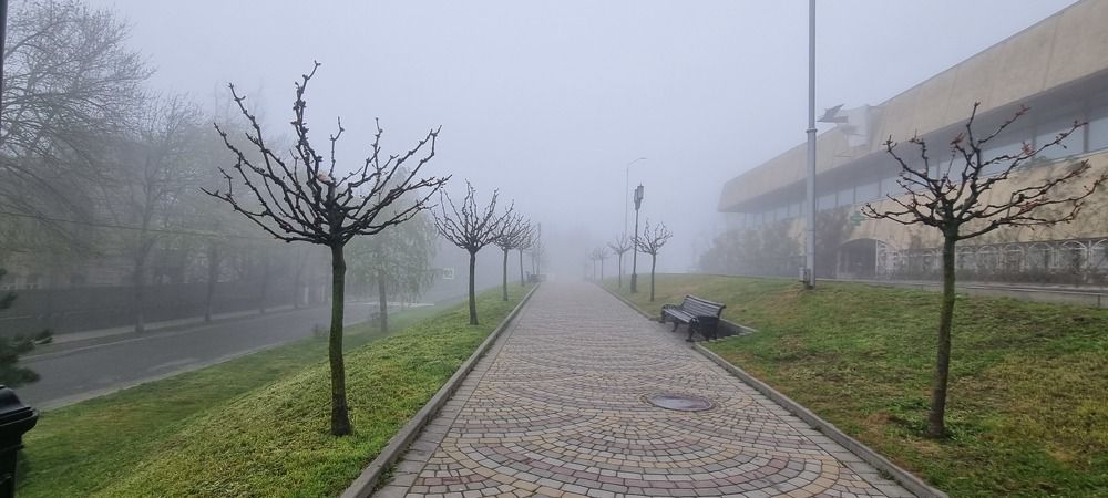 Фотография автора Марина Карасева