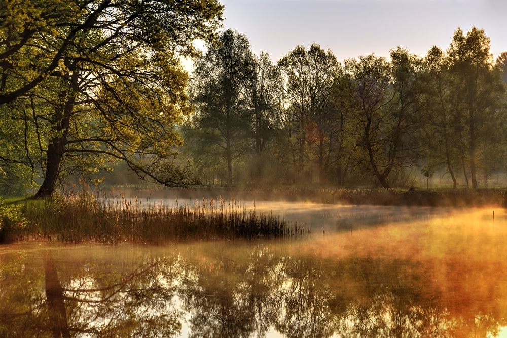 Photograph by Maciej Wydmuch