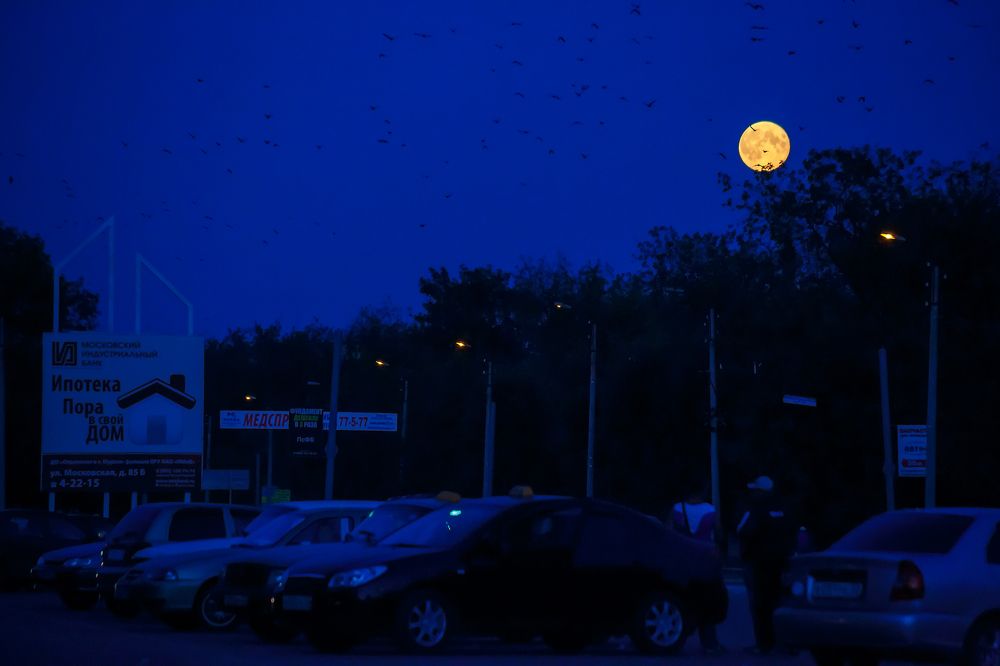 Photograph by Алексей Трифонов