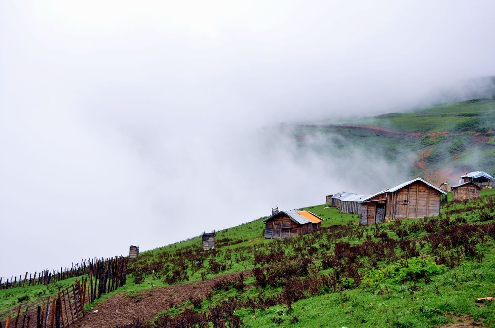 Photograph by Mahmoud Ahmadi