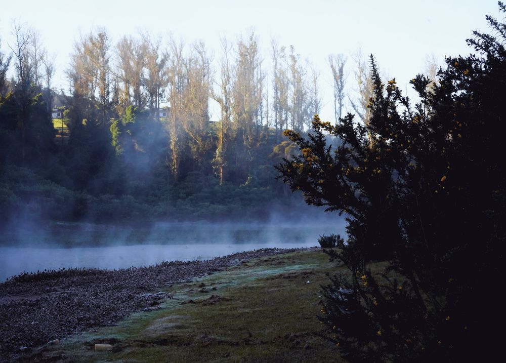 Photograph by SARAVANA MANICKAM