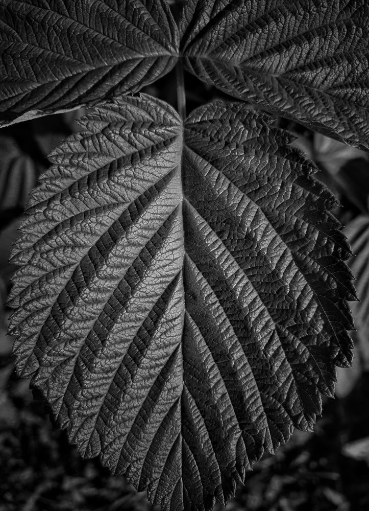 Красота в мелочах