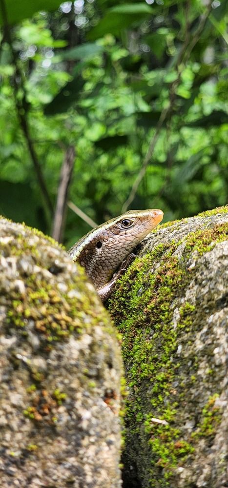 Photograph by Joemon Babu