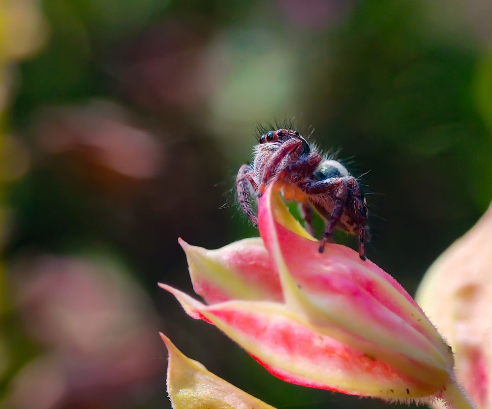 Photograph by Arindam Sahoo