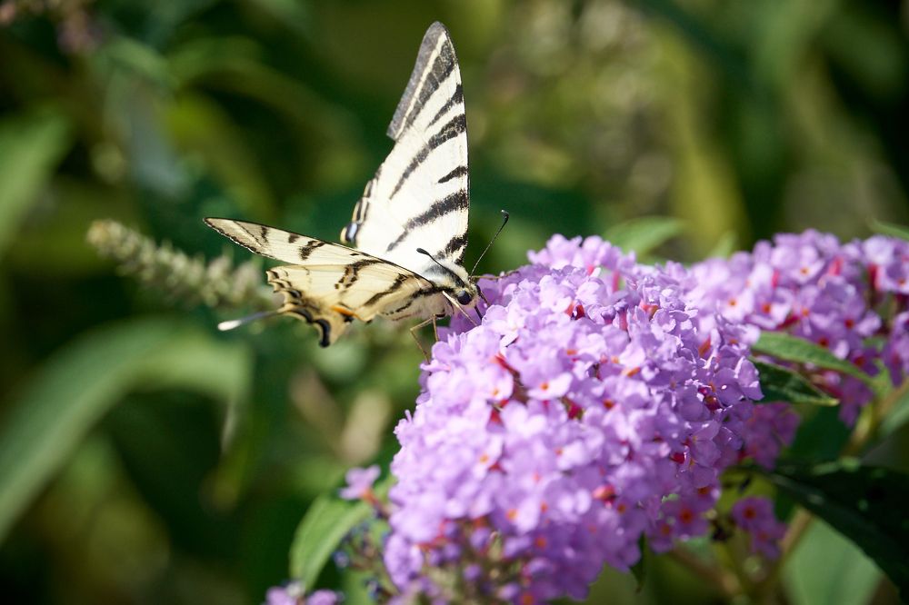 Photograph by Андрей Валерьевич