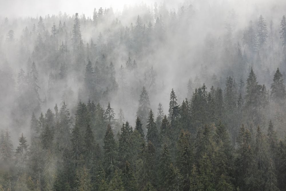 Photograph by Ivars Salmanis