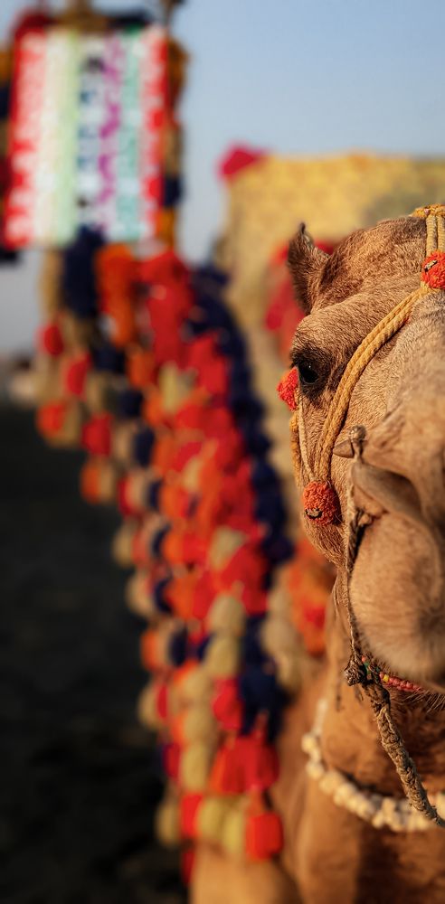 Photograph by TAYYAB ALI