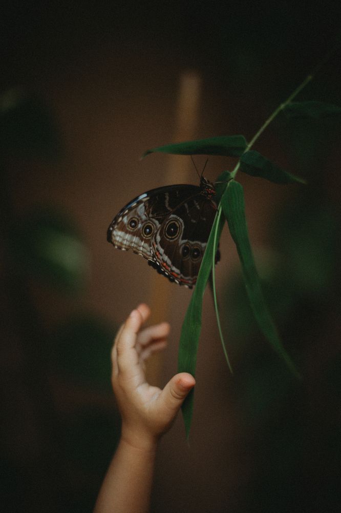 Photograph by Ирина