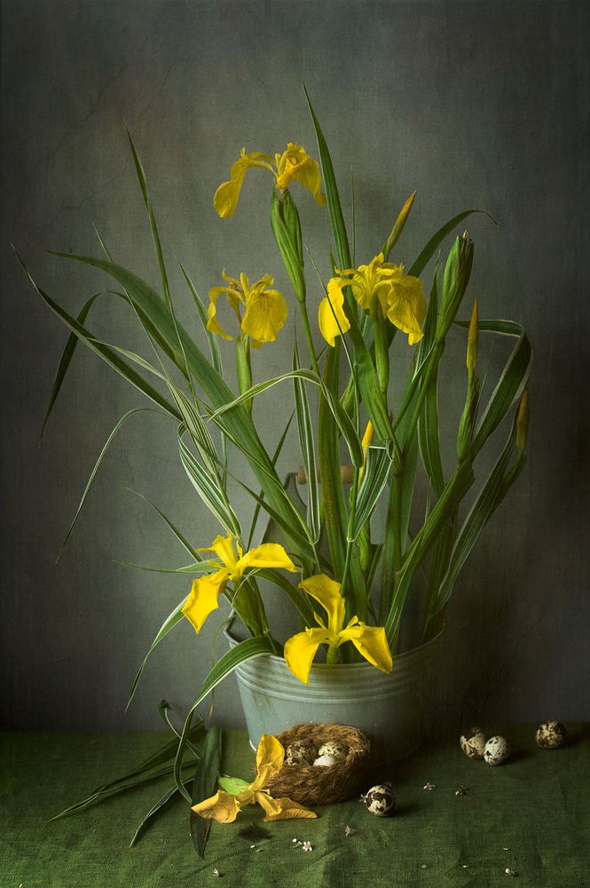 Photograph by Рюмина Ляля