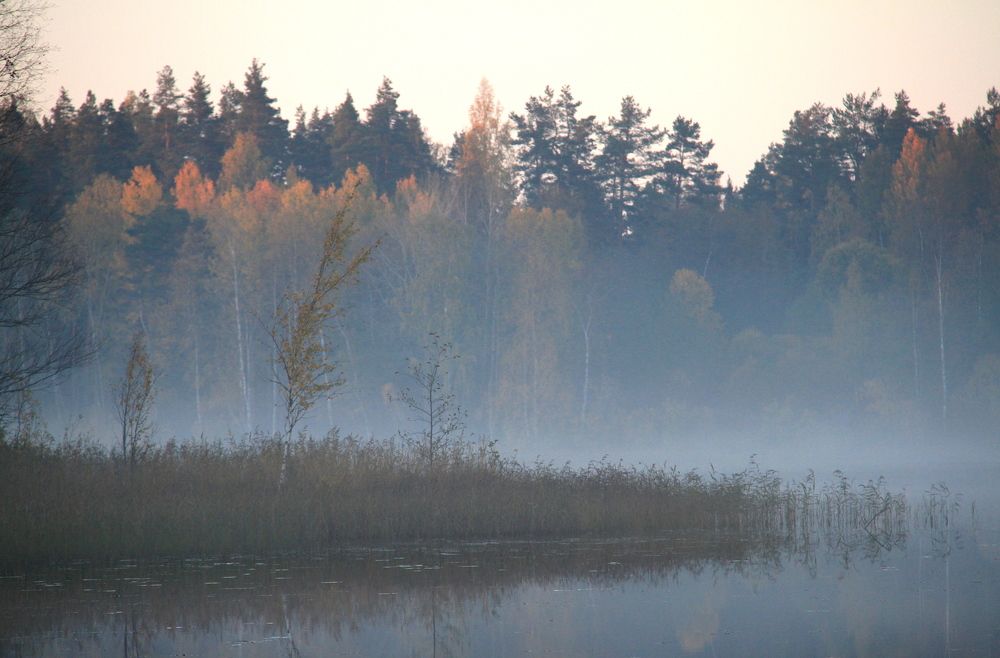 Фотография автора Анастасия Зверева