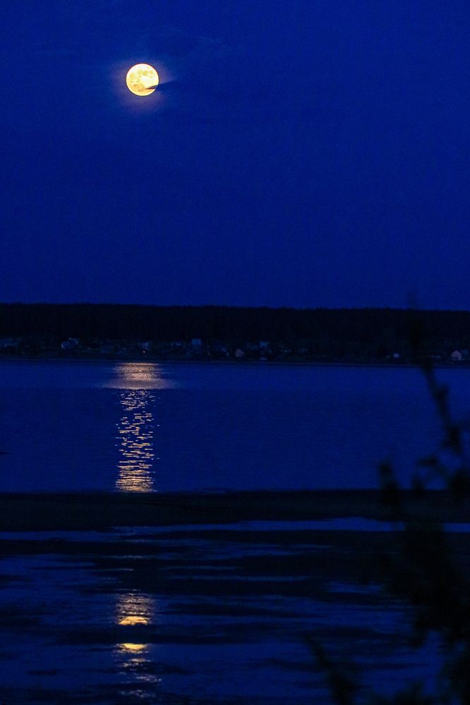 Photograph by Людмила Аксенова