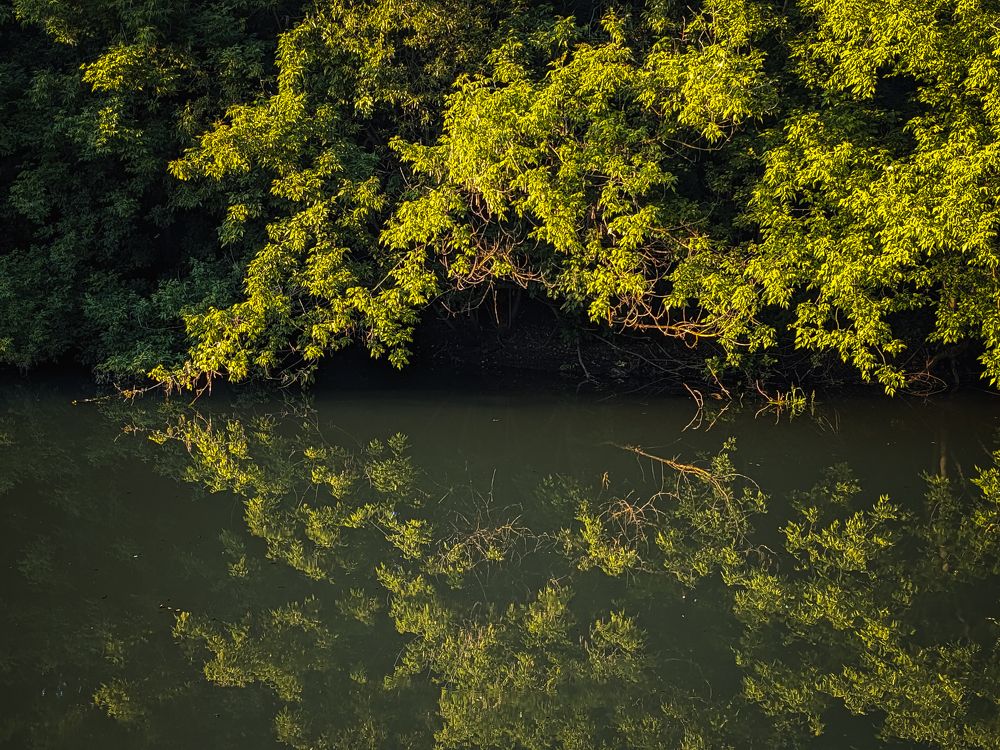 Photograph by Владимир Фролов