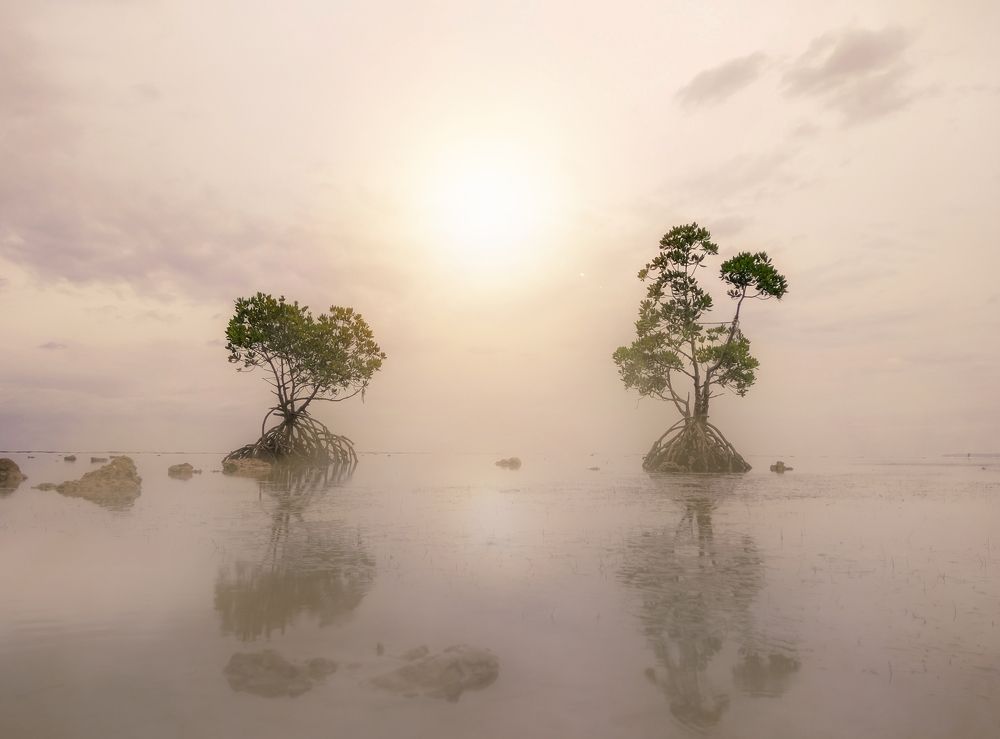 Photograph by Ian Christopher Valenzuela