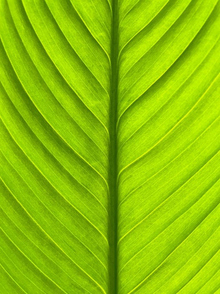 Photograph by Jshtengel