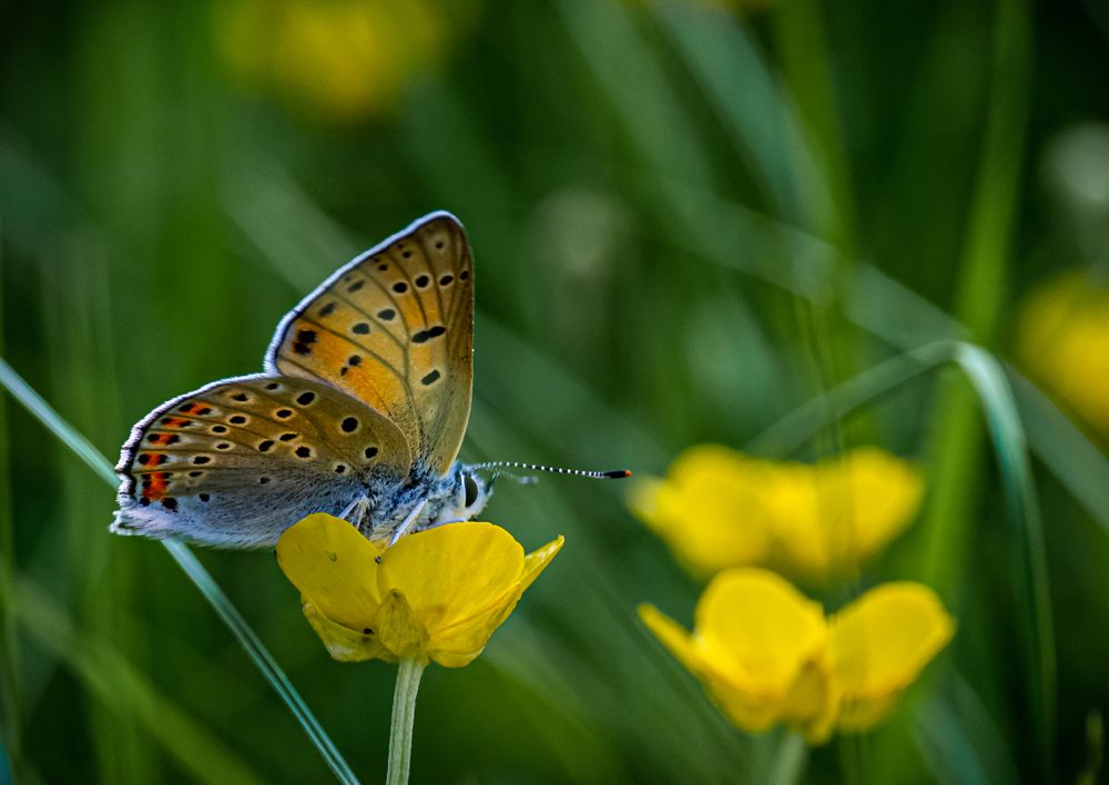 Photograph by Владимир Коновалов
