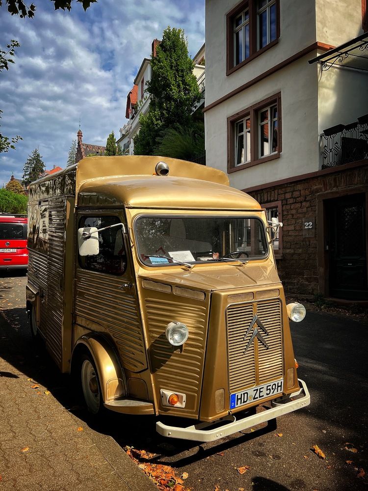 Photograph by Alexander Siemens